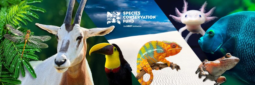 Mohamed bin Zayed Species Conservation Fund - social media header.
