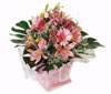 Bunch of flowers for Macmillan