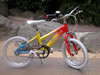 Raleigh bike for Girlguiding UK