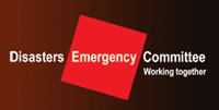 DEC logo 2008