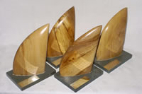 Institute of Fundraising Scottish Conference awards