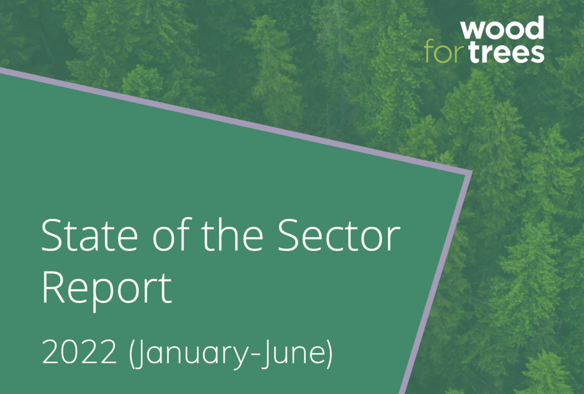 Wood for Trees State of the Sector report cover detail