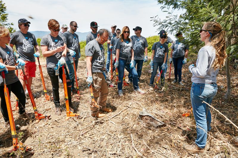 Salesforce employees volunteering in Marin in 2015