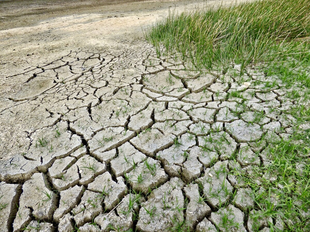 green grass peters out into cracked dry earth, signifying climate change
