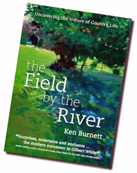 The Field by the River - by Ken Burnett - cover