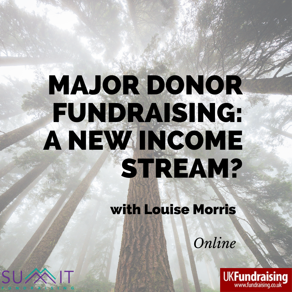 Major donor fundraising - a new income stream? Event logo