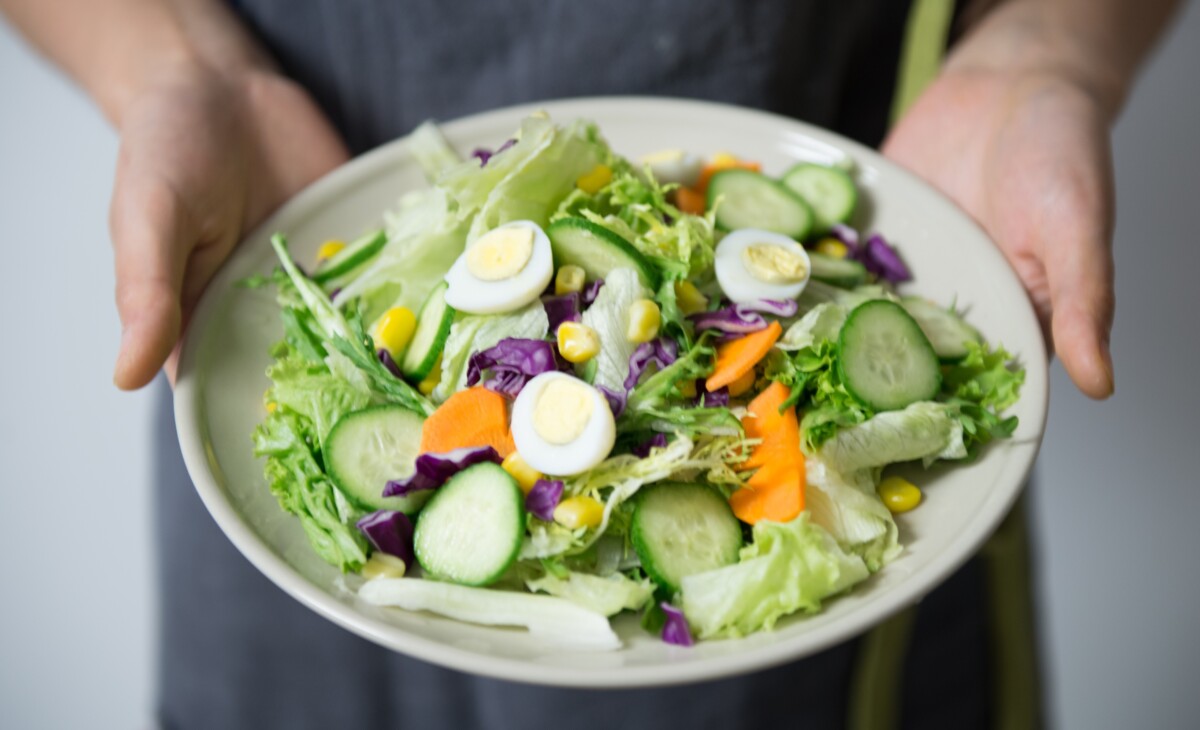 hands holding a plate full of a mixed salad including eggs lettuce cucumber and carrot