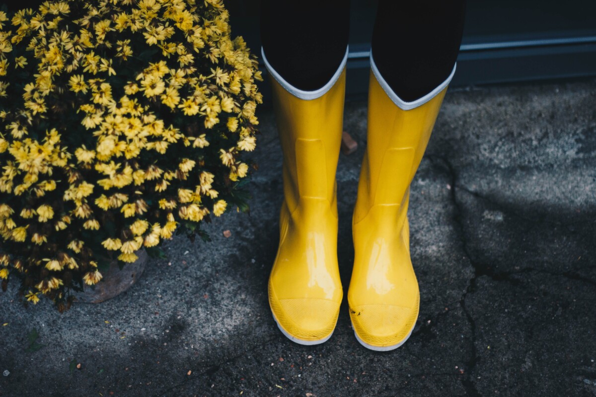 Yellow wellies