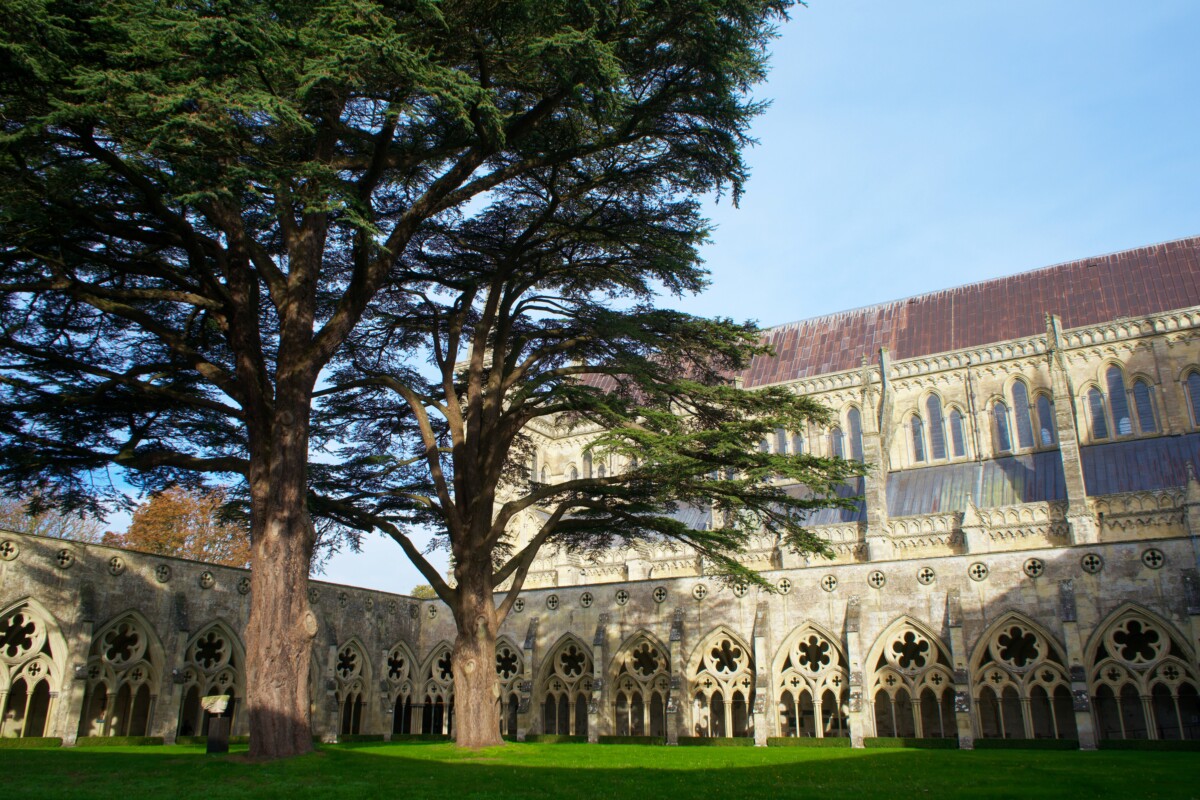Part of Salisbury Cathedral. By Mike Bird on Pexels