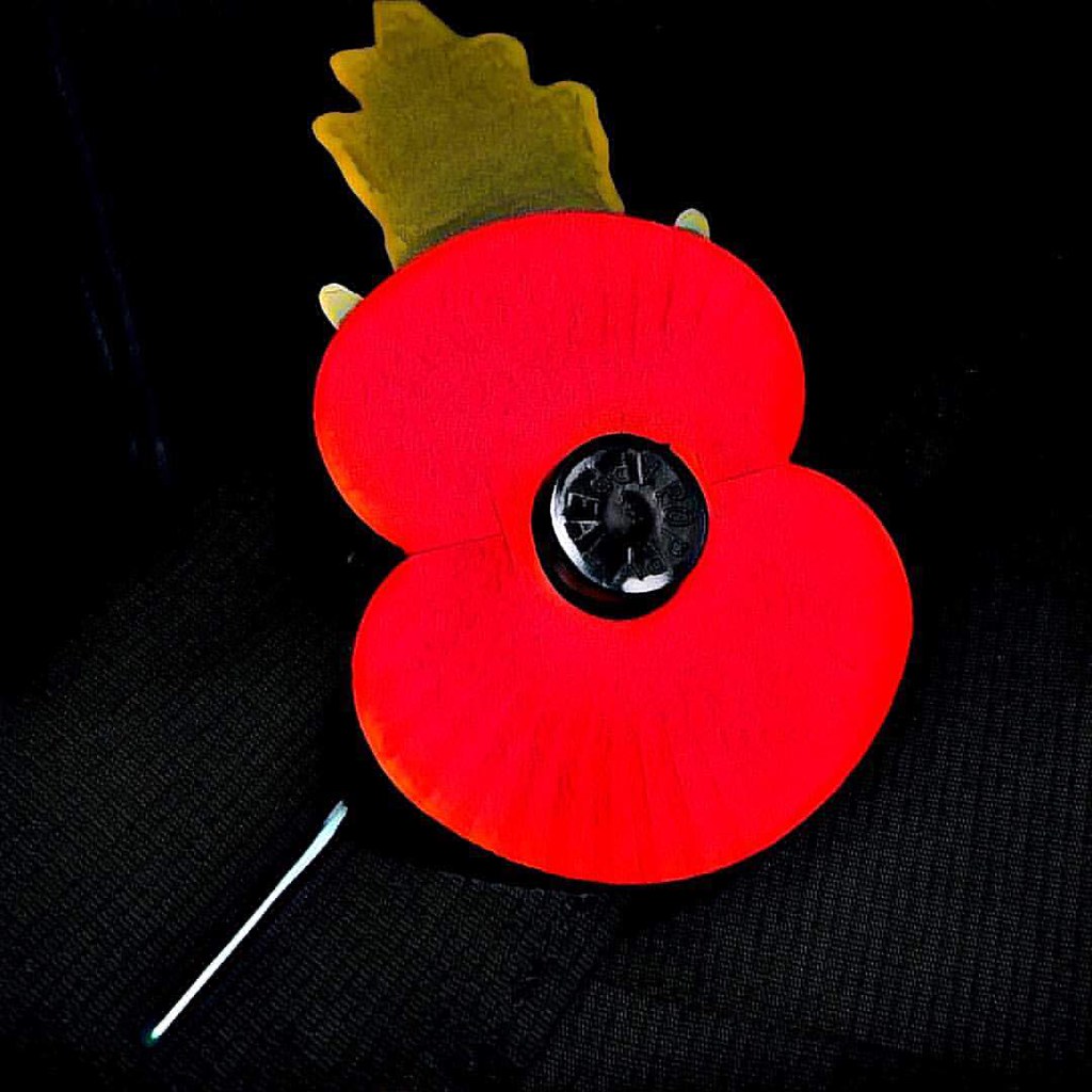 Red poppy. Photo: Howard Lake
